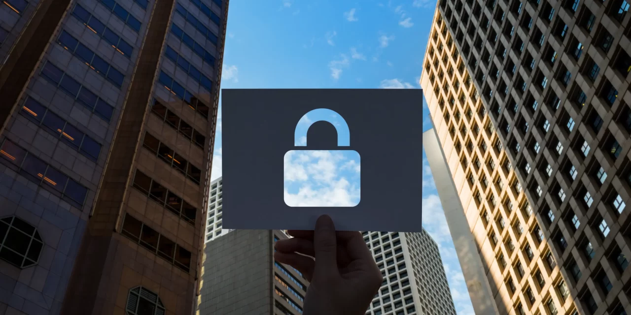 Consulenza Strategica sulla Privacy per Aziende UE e Globali