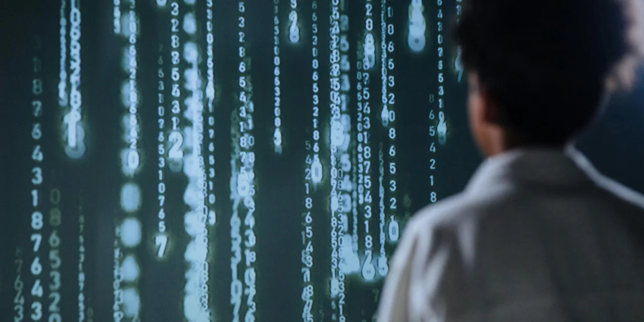 Personally Identifiable Information Ruins Sweden’s Firms the Most (2026)